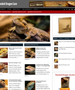 Bearded Dragon Care Website