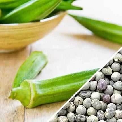Clemson Spineless Okra Seeds Non-GMO Heirloom | USA Grown