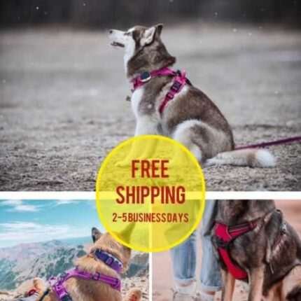 MINAUDAS Dog Harness Strong-Soft No-Pull Pet Control Adjustable XS S M L XL XXL