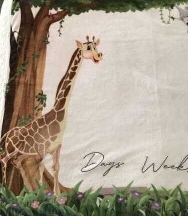 Dinoria Blanket Baby Monthly Milestone Photo Giraffe With Wreath Marker 50x40