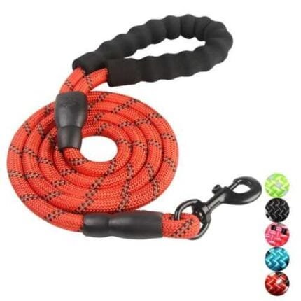 PETnSport 4 FT Dog Leash w/Soft Padded Handle, Heavy Duty Clip & High Reflective
