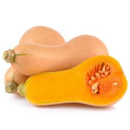 Butternut Squash - Seeds - Organic - Non Gmo - Heirloom Seeds – Vegetable Seeds