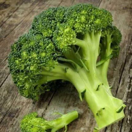 500 WALTHAM 29 BROCCOLI SEEDS ~ heirloomseedguy ~ 2024 ~ NON-GMO