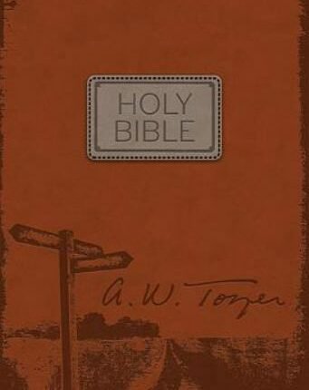 Illustrated Dictionary of Bible Life and Times - Hardcover - GOOD
